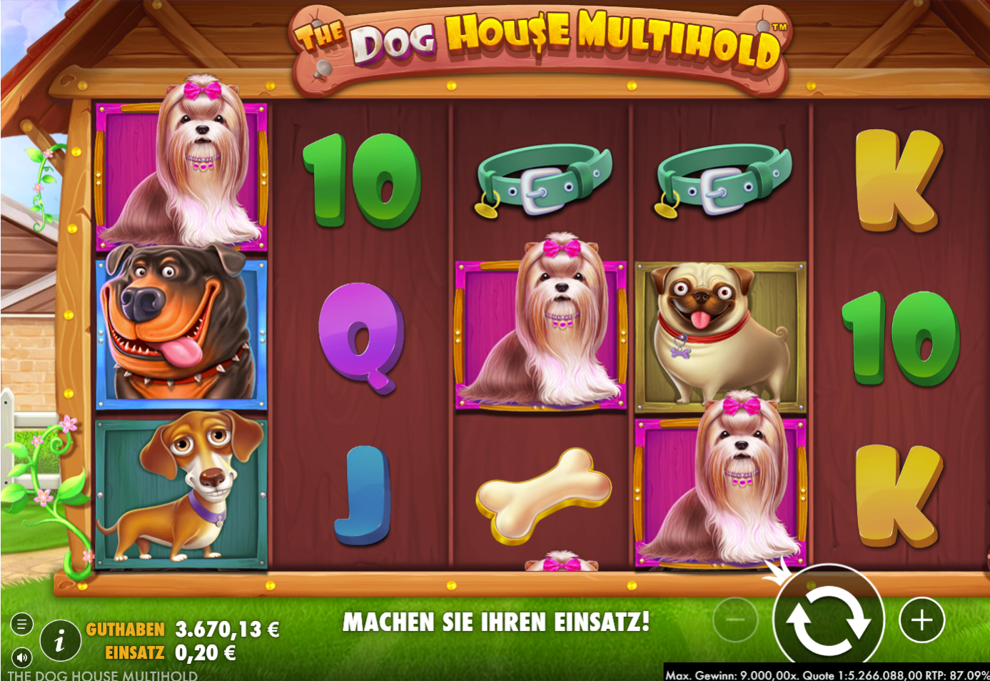 The-Dog-House-Multihold-Slot mit Yorkshire Terrier, Mops, Dackel, Knochen und Halsb&auml;ndern.
