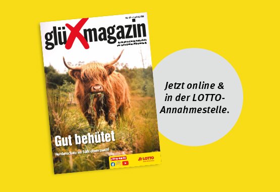 Cover glüXmagazin
