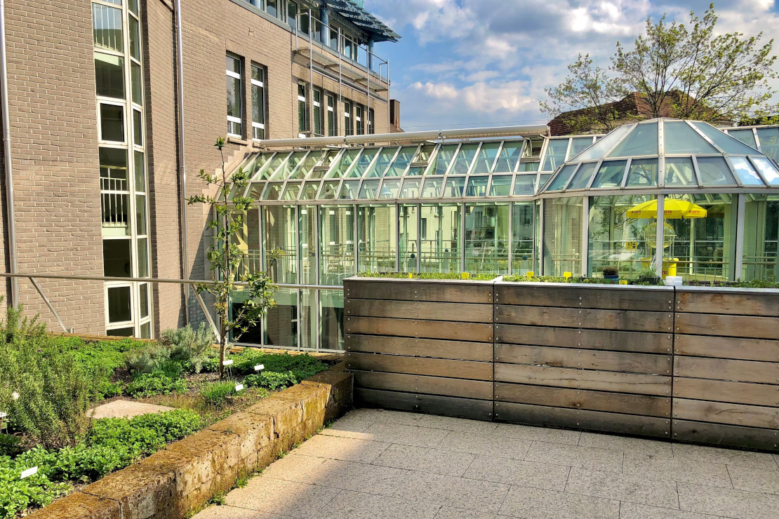 Innengarten von Lotto BW mit Kräutergarten.