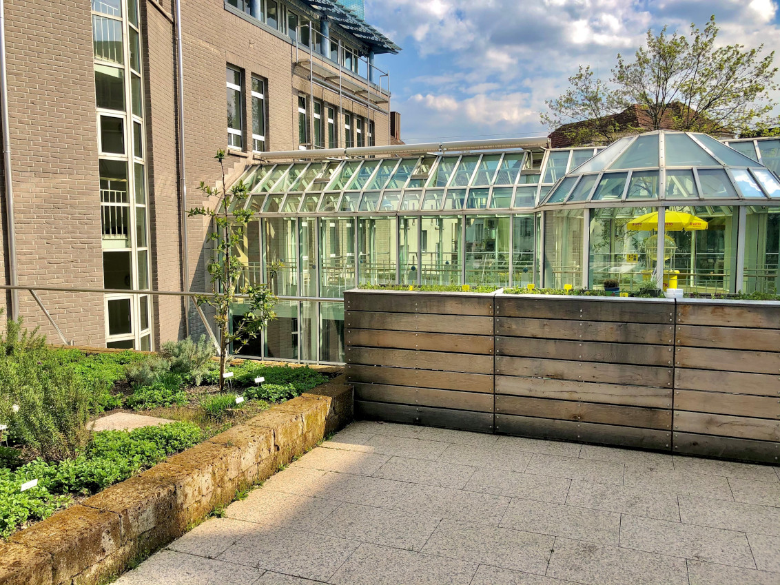 Innenhof mit Bio-Kräutergarten