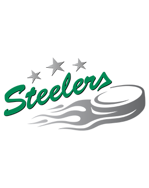 Logo Bietigheim Steelers