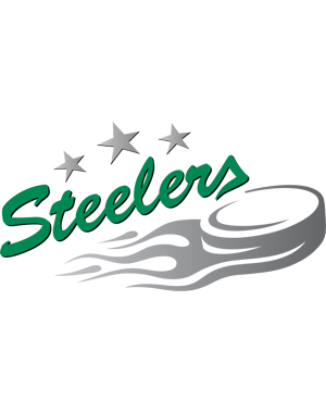 Logo der Steelers mit drei Sternen und einem brennenden Puck